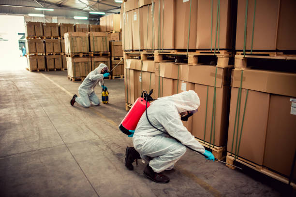 Best Ant Control Services  in Villa Hills, KY