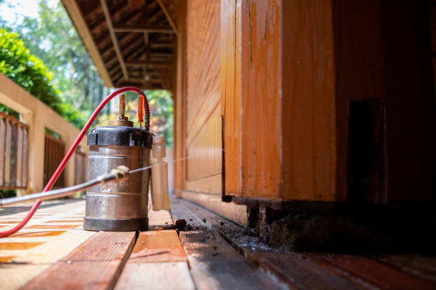 Best Wasp Removal Services  in Villa Hills, KY